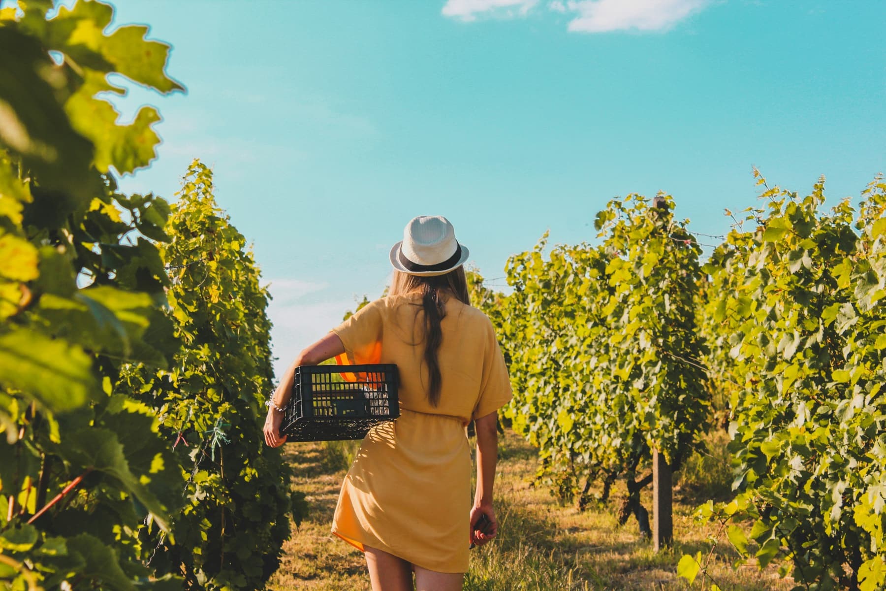 Bring on Spring with DINR Wine Club Favourites